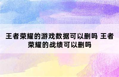 王者荣耀的游戏数据可以删吗 王者荣耀的战绩可以删吗